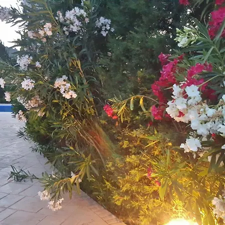 Georgia -with Pool Villa Athikia